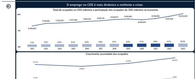 Mercado de trabalho do CEIS